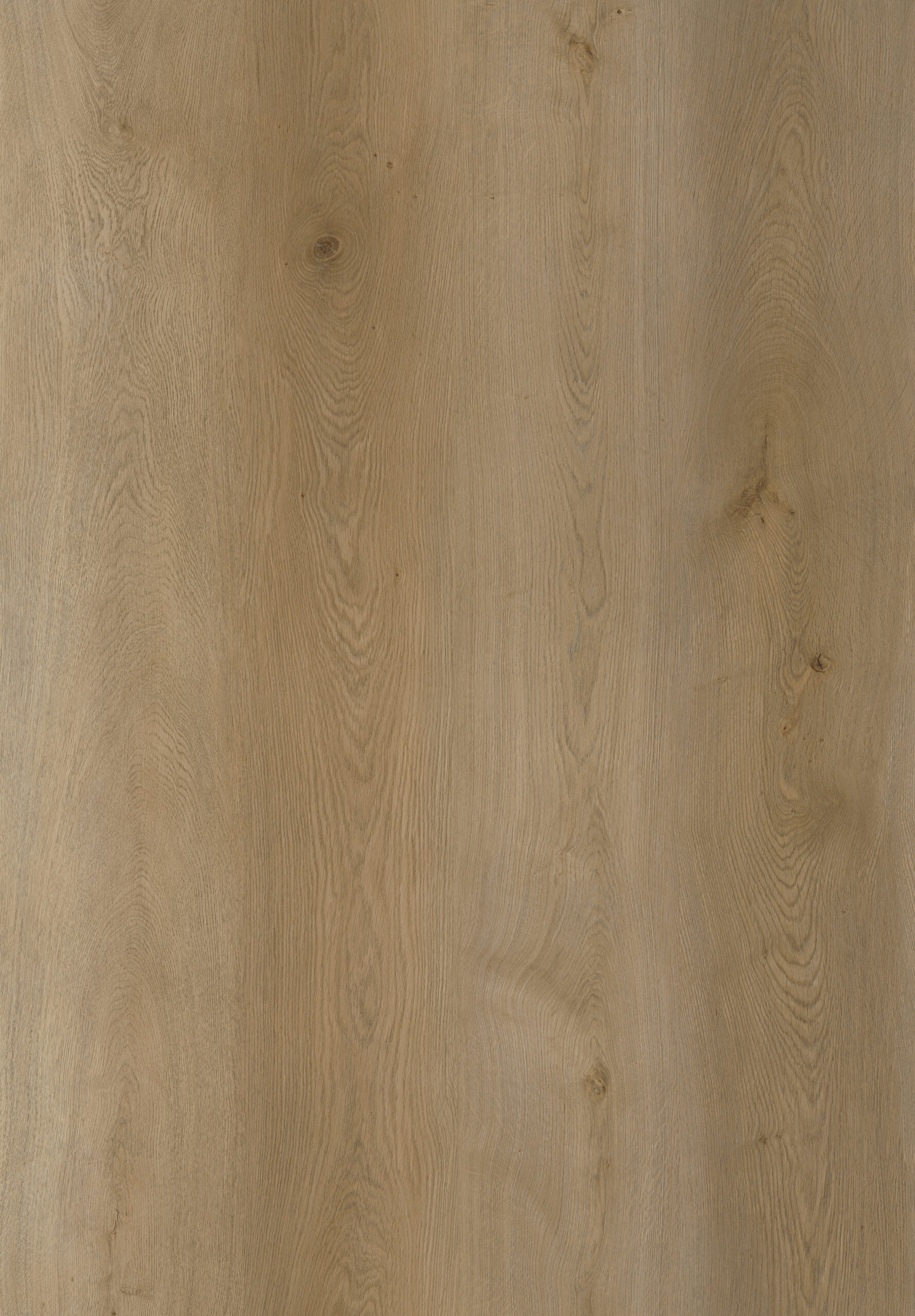LVT Panel klejony Capri